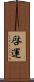 啓運 Scroll