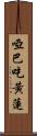啞巴吃黃蓮 Scroll