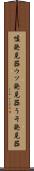 嘘発見器 Scroll