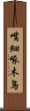 嘴細啄木鳥 Scroll