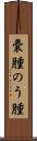 嚢腫 Scroll