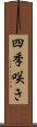 四季咲き Scroll