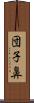 団子鼻 Scroll