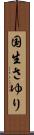 国生さゆり Scroll