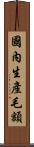 國內生產毛額 Scroll