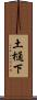 土樋下 Scroll