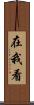 在我看 Scroll