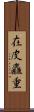 在皮麤重 Scroll