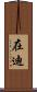 在迪 Scroll