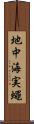 地中海実蠅 Scroll