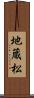 地蔵松 Scroll