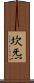 坎炁 Scroll
