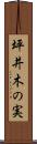 坪井木の実 Scroll