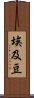 埃及豆 Scroll