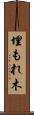 埋もれ木 Scroll