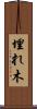 埋れ木 Scroll