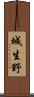 城生野 Scroll