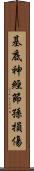 基底神經節孫損傷 Scroll