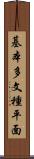 基本多文種平面 Scroll