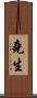 堯生 Scroll
