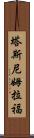 Tasnim Rafa Scroll