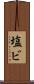 塩ビ Scroll