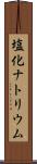 塩化ナトリウム Scroll