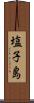 塩子島 Scroll