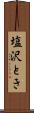 塩沢とき Scroll