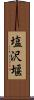 塩沢堰 Scroll