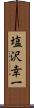 塩沢幸一 Scroll