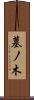 墓ノ木 Scroll