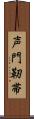 声門靭帯 Scroll