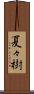 夏々樹 Scroll