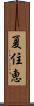 夏住恵 Scroll