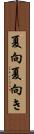 夏向 Scroll