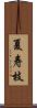 夏寿枝 Scroll