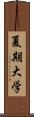 夏期大学 Scroll