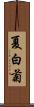 夏白菊 Scroll