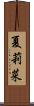 夏莉菜 Scroll
