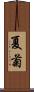 夏菊 Scroll