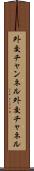 外交チャンネル Scroll