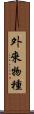 外來物種 Scroll