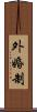 外婚制 Scroll