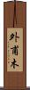 外甫木 Scroll