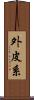 外皮系 Scroll
