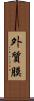 外質膜 Scroll