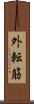 外転筋 Scroll