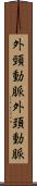 外頸動脈 Scroll