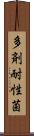 多剤耐性菌 Scroll